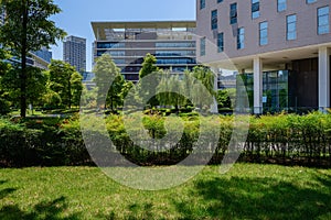 Modern city in verdant plants of sunny summer