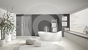 Modern classic bathroom with big round carpet, large panoramic w