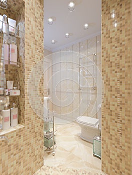 Modern Classic Bathroom Interior Design