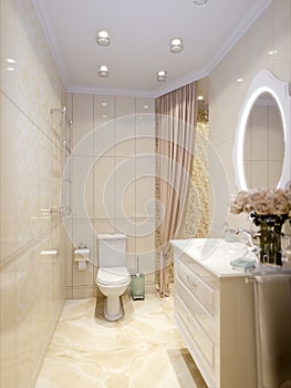 Modern Classic Bathroom Interior Design