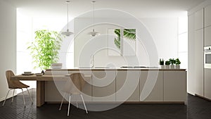 Modern clean contemporary white kitchen, island and wooden dining table with chairs, bamboo and potted plants, big window and