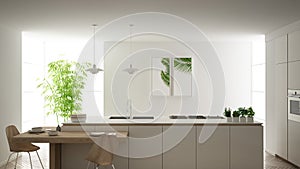 Modern clean contemporary white kitchen, island and wooden dining table with chairs, bamboo and potted plants, big window and