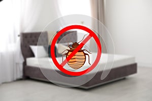 Modern clean mattress without bed bugs