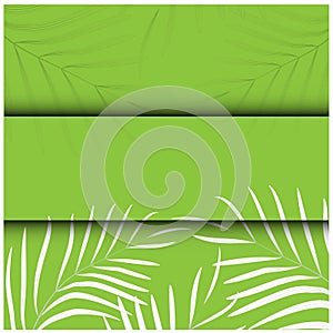 Modern closeup of colorful postcard on green background for textile design. Natural textile. Banner on green backdrop.