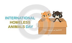 Modern colorful horizontal banner template. International day of homeless animals. Two cute cats in a box with the text