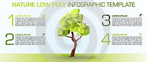 Modern colorful nature low poly infographics options template vector. Can be used for web design, brochure, presentations and