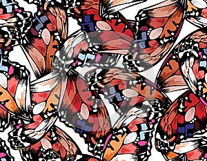 Modern Colourful Buttefly wings Seamless pattern vector Illustration