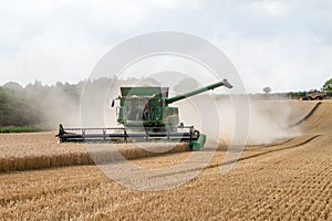 Modern combine harvester cutting crops corn wheat barley working golden field