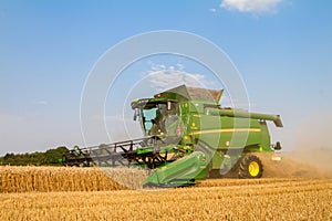 Modern combine harvester cutting crops corn wheat barley working golden field