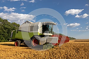 Modern combine, harvester, harvesting on wheat field, cloudy sky