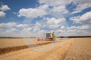 Modern combine (harvester) harvesting on wheat field