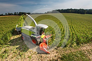 Modern combine harvester unloading green corn