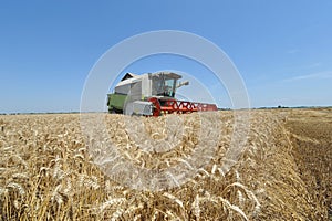 Modern combine harvester at work