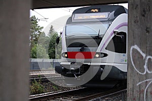 Modern commuter train on rails with trees in the background