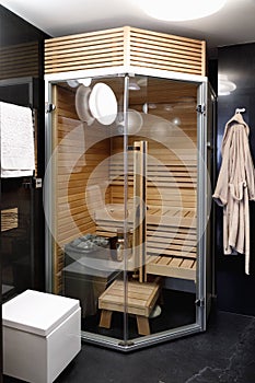 Modern compact sauna in a residential apartment