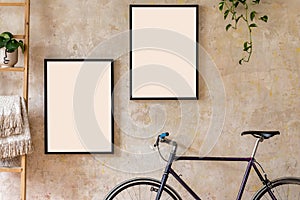 Modern composition of living room interior with black mock up poster frames, wooden ladder, plant, hipster bike.