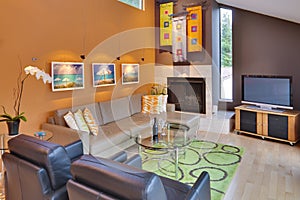 Modern / Contemporary Family Room