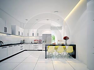 Modern contemporary white Kitchen