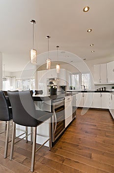 Modern Contemporary White Kitchen