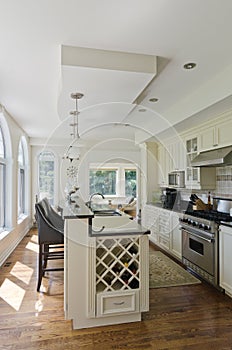 Modern Contemporary White Kitchen