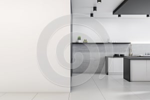 Modern cozy bright furnished kitchen with a blank empty white wall, concrete floor, interior design concept, 3d rendering, mock up