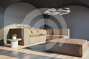 Modern cozy concrete and wooden living room interior with couch, decorative lamp and sunlight. Design concept.