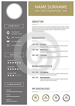 Modern Curriculum Vitae Template with icons photo