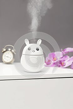 Modern cute air humidifier with steam,water articles,essential aroma oil diffuser and houseplant on table commode in bed