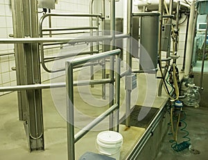 Modern Dairy Farm Cow Milking Stall photo