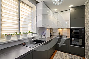 Modern dark grey small kitchen interior