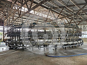 Modern day Dairy cow milking machinery in factory with hose