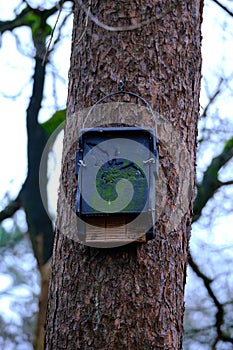 Modern design bat house made of wood and concrete with a drawing of a bat. Located in a forest on a pine tree