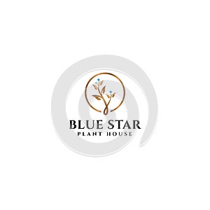 Modern design BLUE STAR PLANT HOUSE logo design