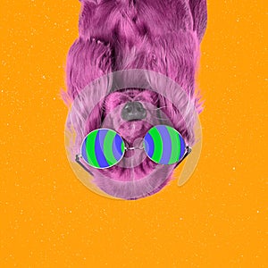 Modern design, contemporary art collage with cute doggy in eyewear. Inspirative art, pets, animal, style and fashion