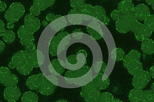 design modern a lot of biological unicellulars computer graphic background texture illustration