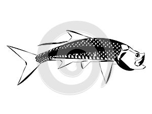 A modern design of a Tarpon game fish