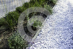 Modern design urban garden landscaping. Flower garden with beautiful flowers between pedestrian stone pathway and modern