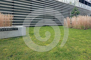 Modern design urban garden landscaping. Majestic ornamental feather reed grass and green grass lawn near modern office