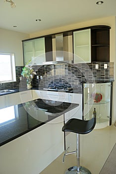 Modern designer kitchen