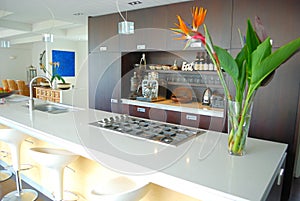 Modern designer kitchen