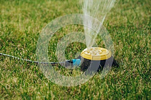 Modern device of irrigation garden. Irrigation system - technique of watering in the garden. Lawn sprinkler spraying water over