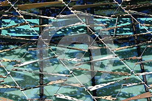 Modern diagonal lattice screened facade of ASB Bank Headquarters, North Wharf, Wynyard Quarter, Auckland, New Zealand