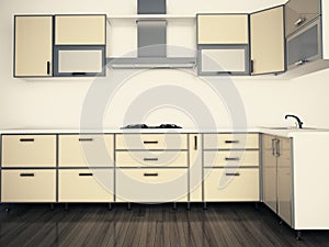 Modern domestic Kitchen, stylish interior design