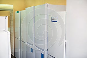 Modern domestic refrigerators in hypermarket