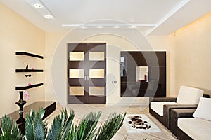 Modern Drawing-room interior in warm tones