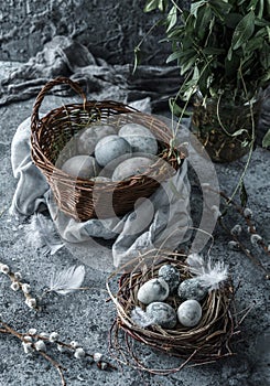 Modern Easter eggs in wicker basket on blue background with nest, feathers and spring flowers. Happy Easter holiday.