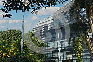 Modern eco-friendly glass architecture and greens against blue sky