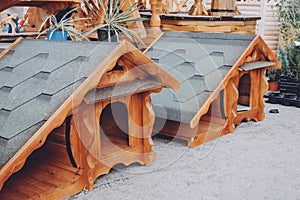 Modern eco friendly wooden doghouse on shop, market