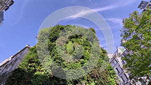 Modern and ecologic skyscrapers with many trees on every balcony. Flowering plants on a tall residential building in the