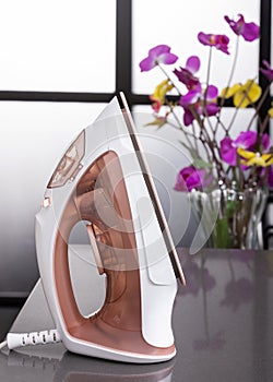 Modern electric clothes iron - Practical household appliance